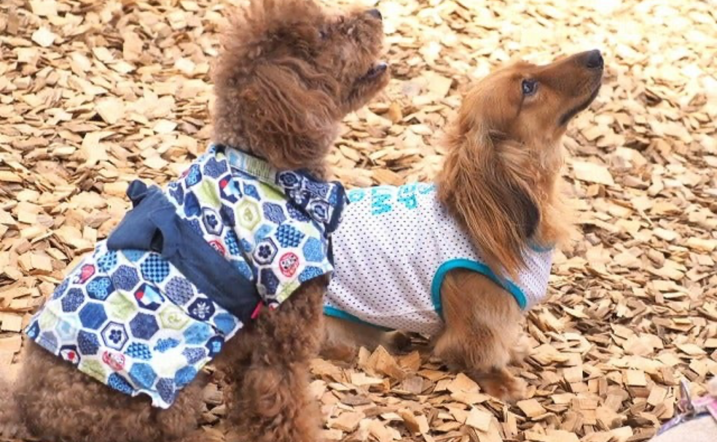 【自分の言葉に責任を持つ♪】