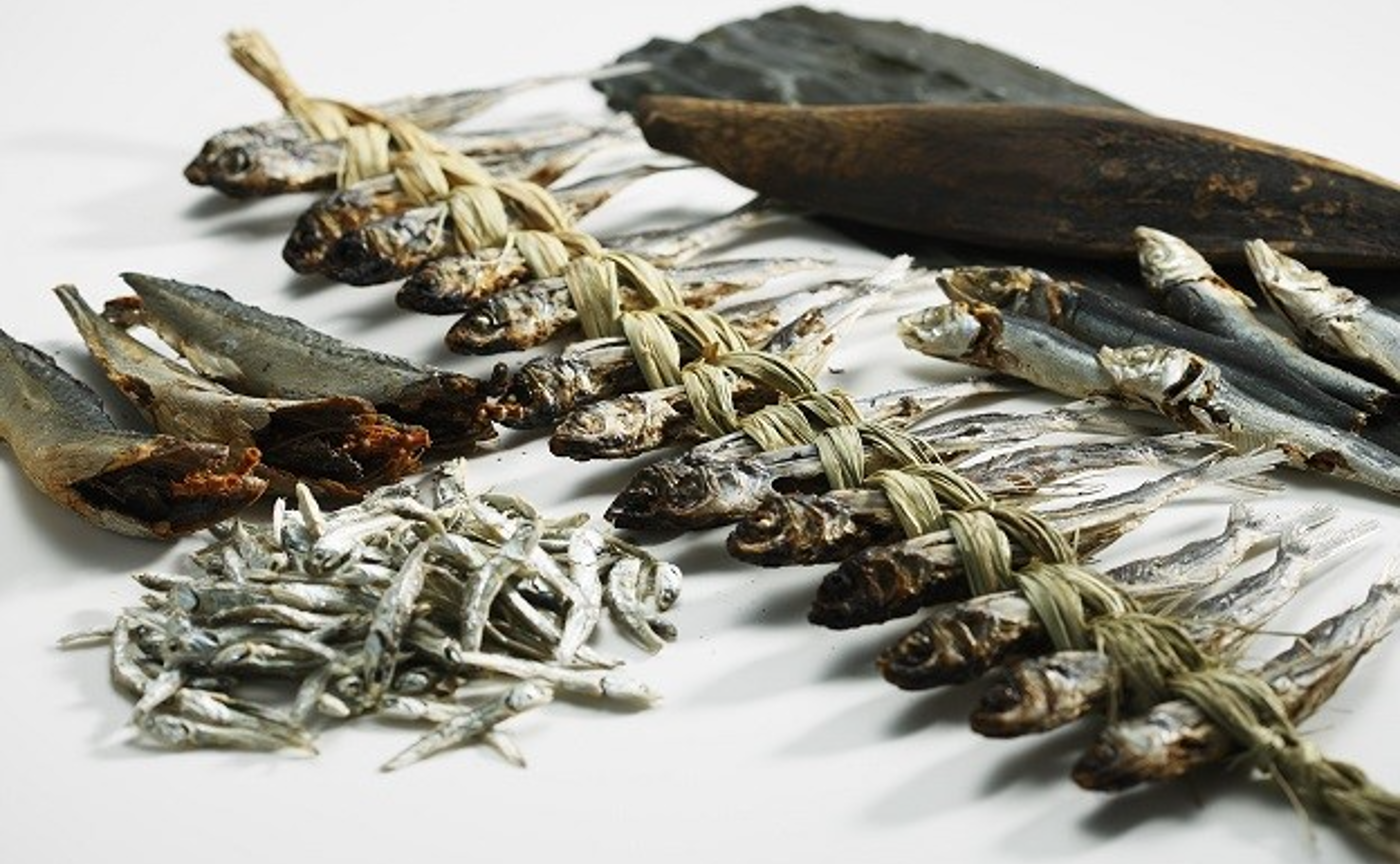 九州|学びvol.4 〜DASHI!BUSHI!〜