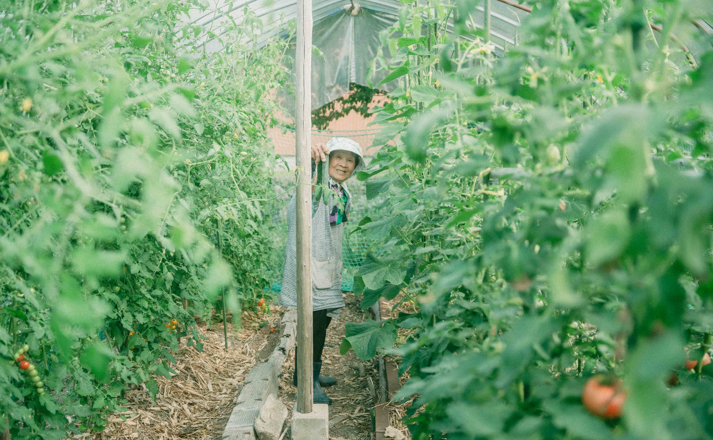 【追体験させる写真】夏はこれから