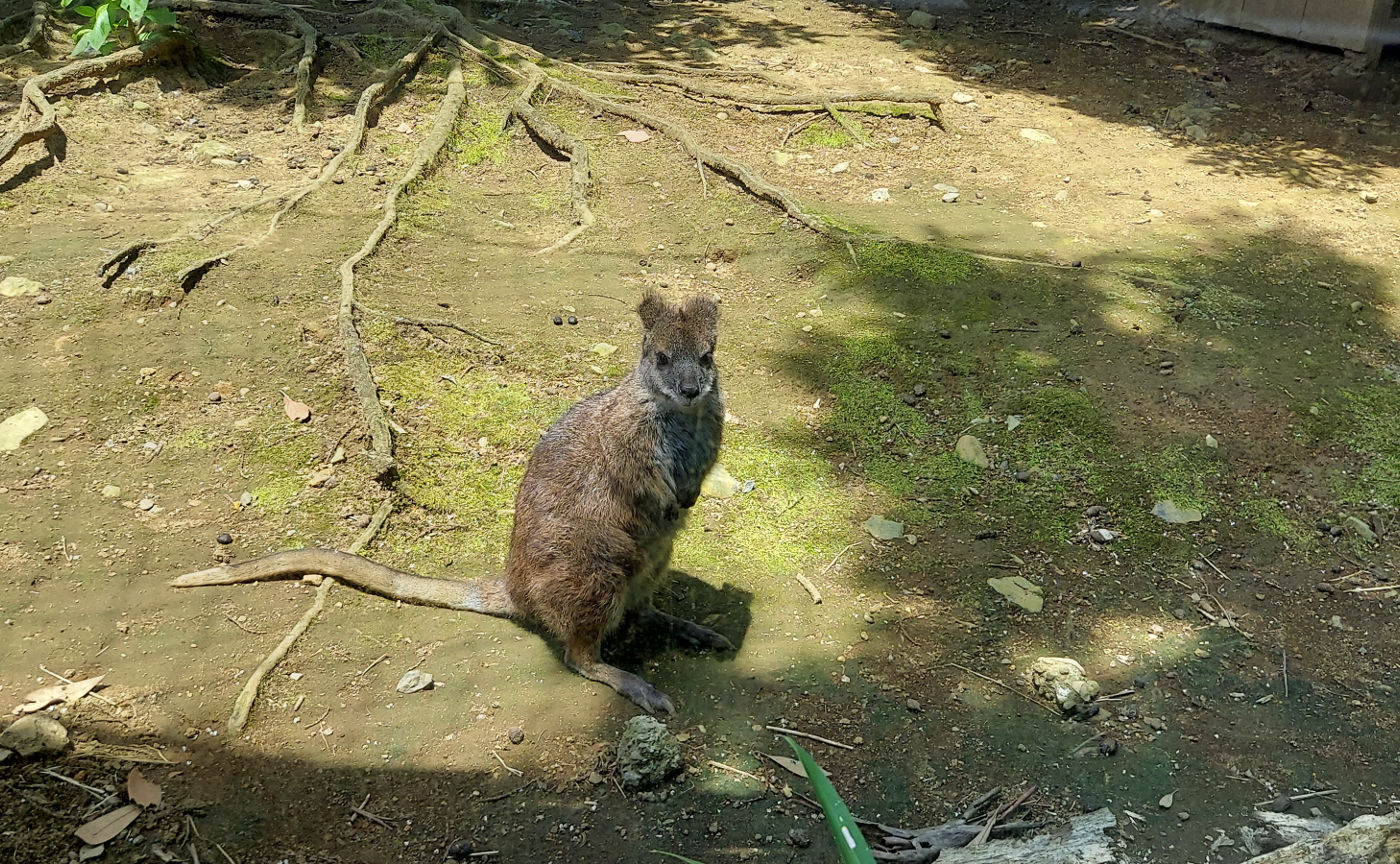 遠足の下見へ行きました。