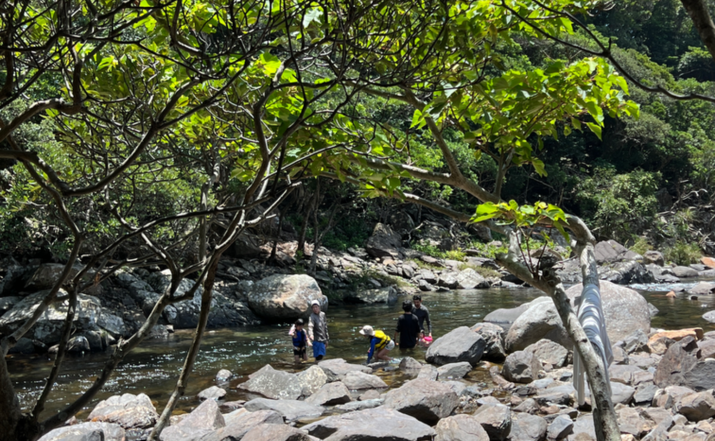 24夏フィールドワークの学び　part1 屋久島から未来を学ぶ