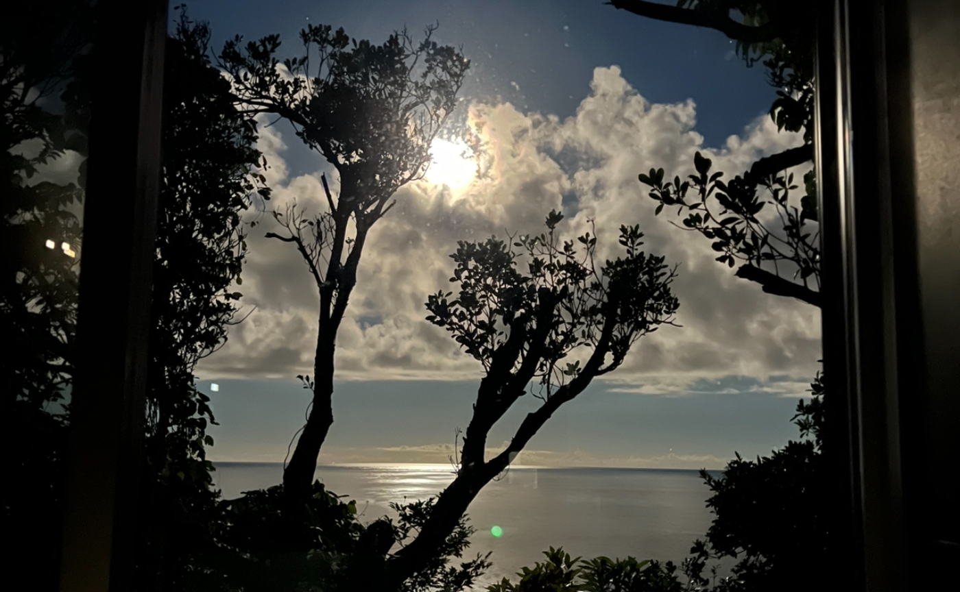 24夏フィールドワークの学び　part2 自然を守り共存すると言う事