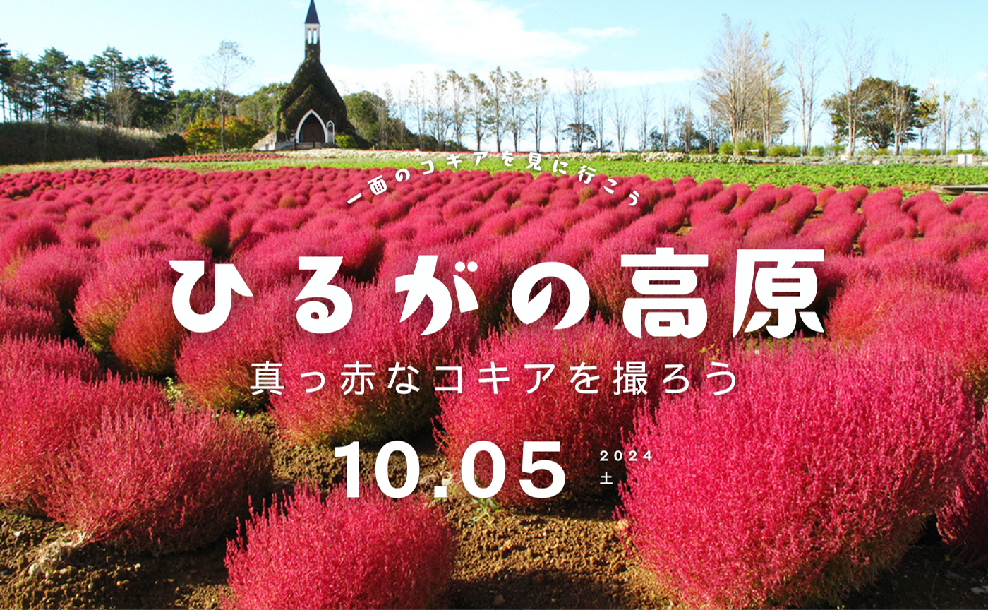 【岐阜】ひるがの高原に真っ赤なコキアを撮りに行きませんか？🍁
