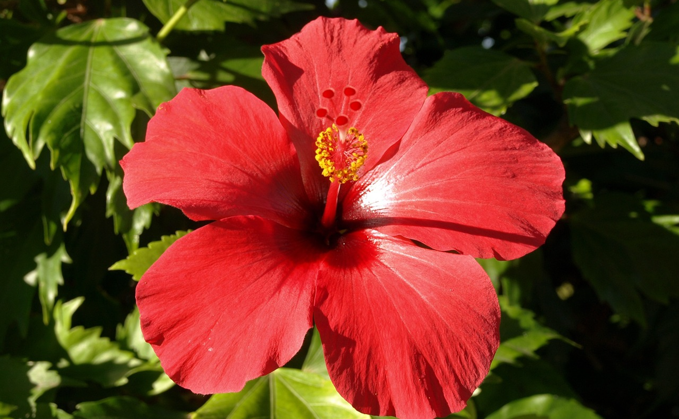 名前のシンクロ🌈