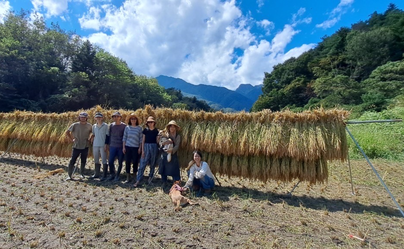 2024 稲刈りイベント！！