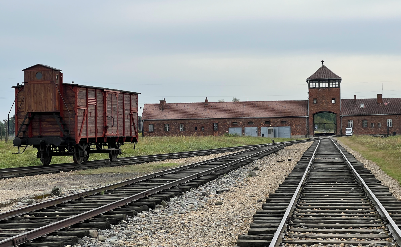 アウシュヴィッツでの学びを学校教育に活かすための公開対話会 #2|平和教育にどう活かす?