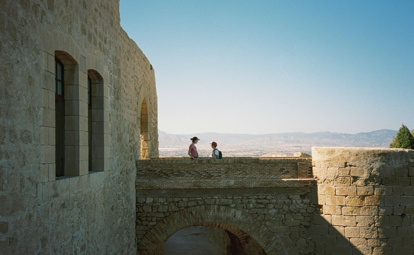 残り全部ジョエル・マイヤーウィッツ -ままならず螺旋する-