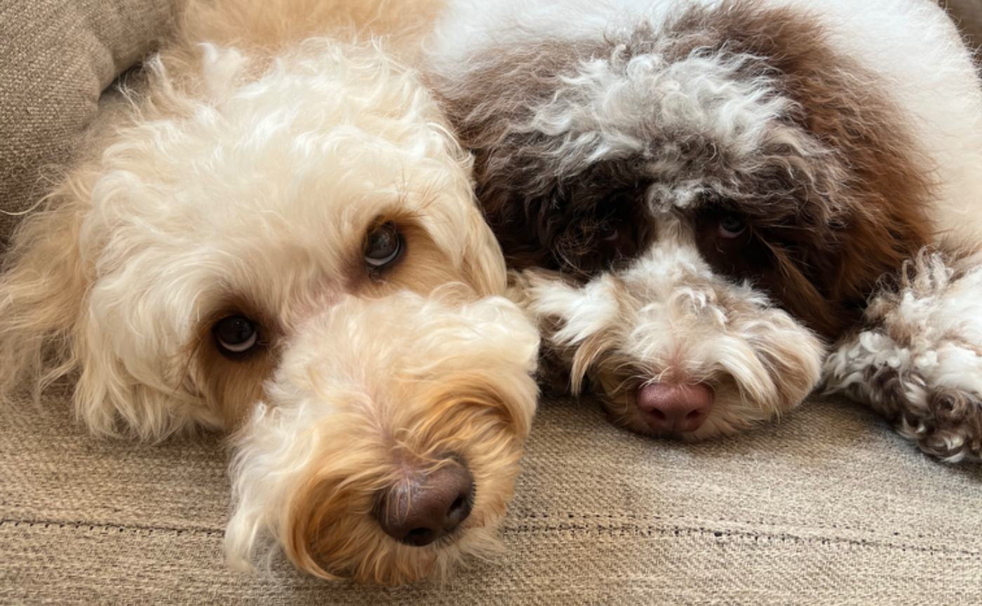 【心穏やかに余裕を持って過ごそう】