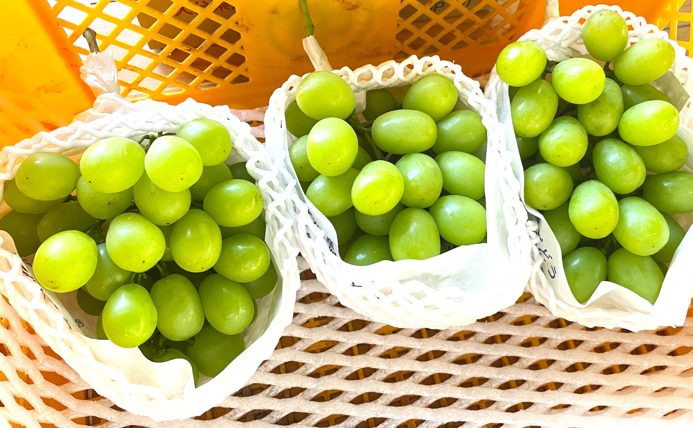 九州 | 豊後の味力vol.2 ～大分のおいしいを探しに～