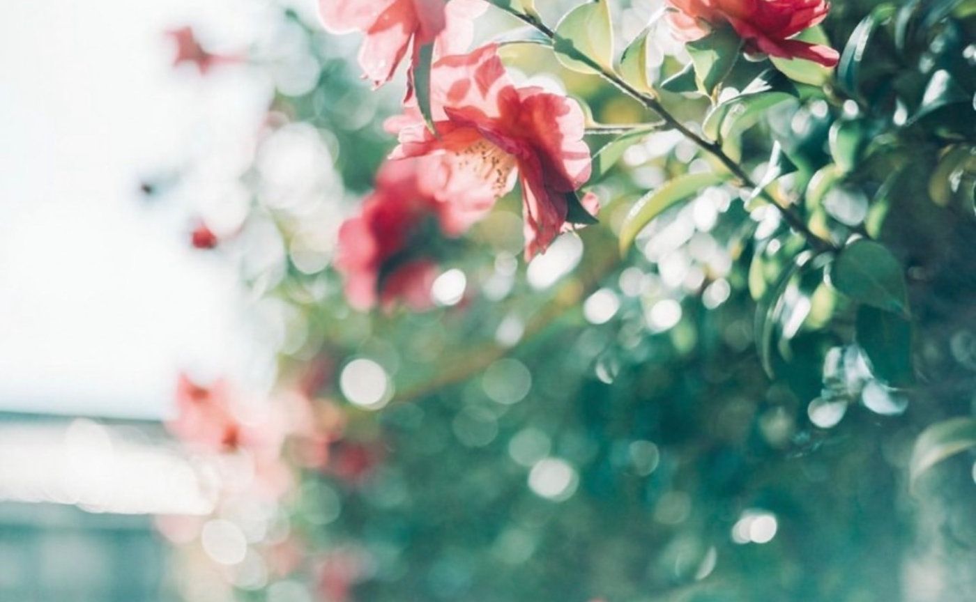 [リアル＠岡山] Find yourself Mindfulness weekend　岡山 GATHER