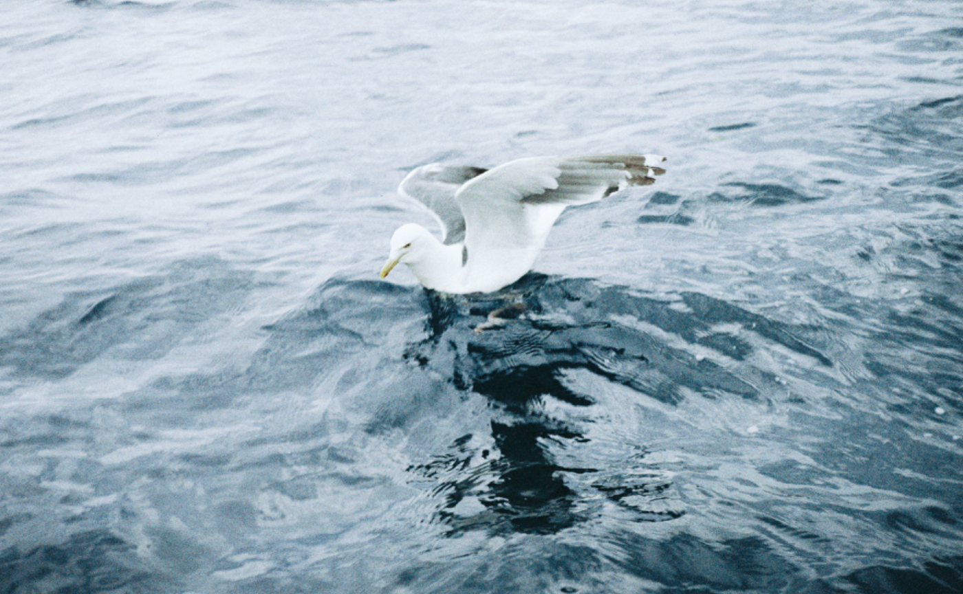 私らしい写真を、みつける方法