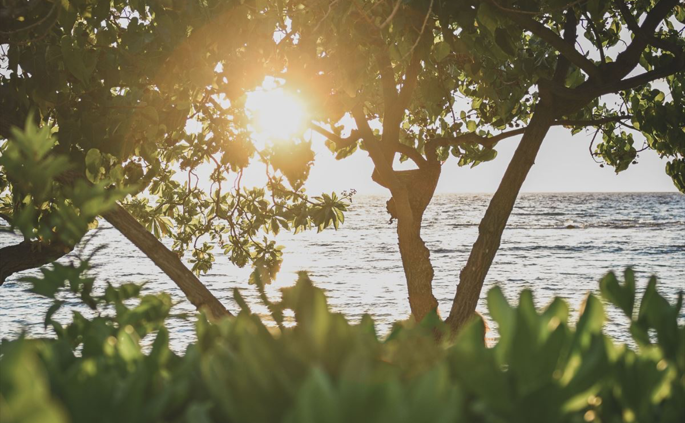 #ぬくもりの環 for PEACE DAY🫶