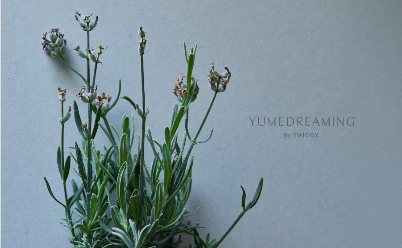 頭皮ケアと良質な睡眠　ゲスト講師：TWIGGY. / YUMEDREAMING　松浦美穂さん