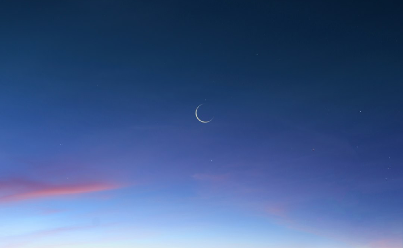 チーム月会🌙同じ被写体を一緒に撮って深掘りしてみよう！