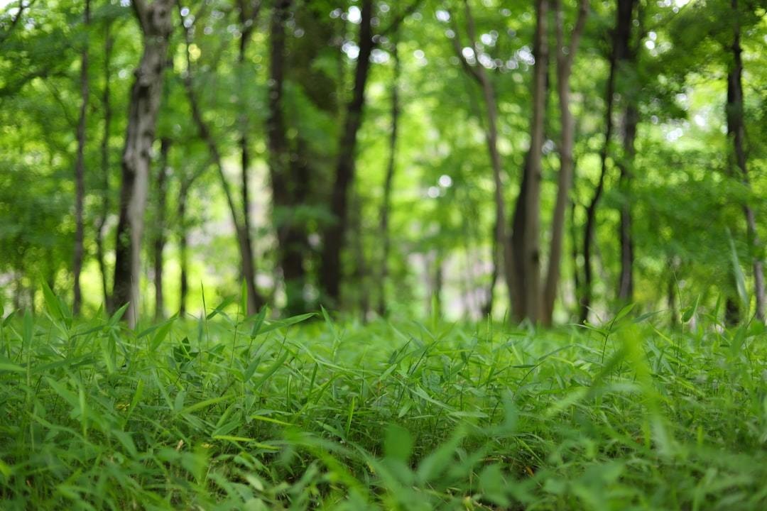 【まとめ】コルクラボ合宿に関するみんなのnote