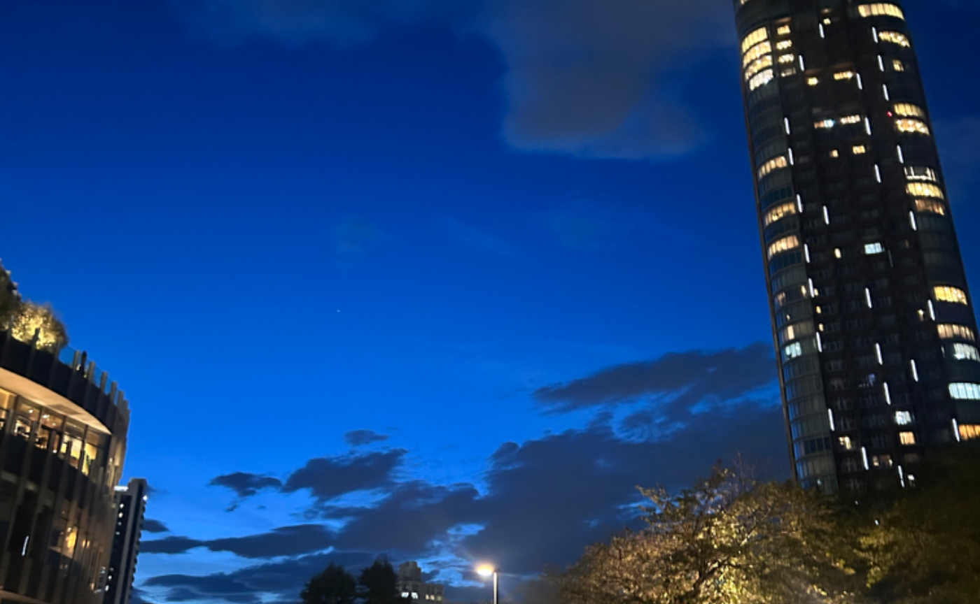 陰と陽、10月も折り返し。