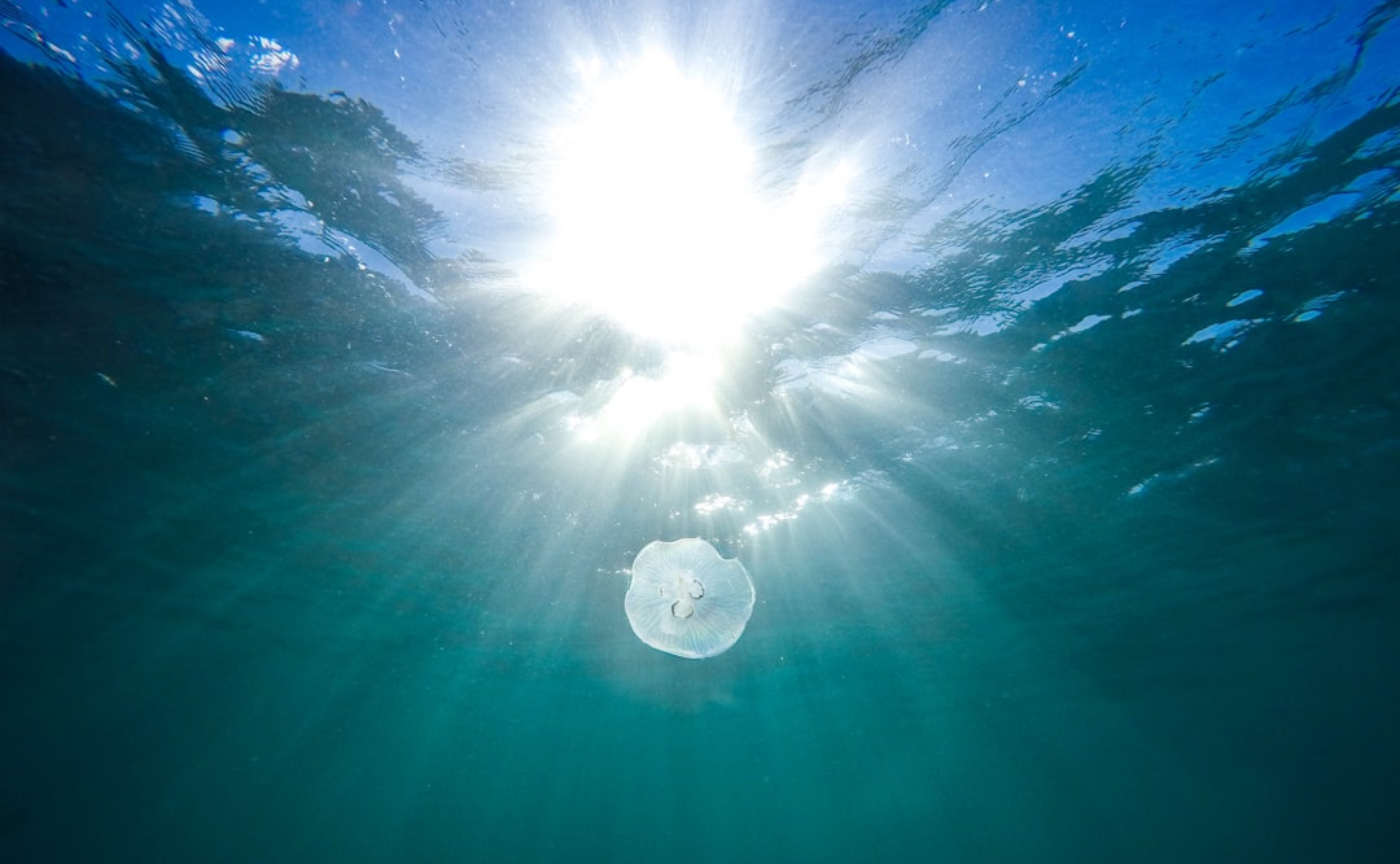 NYではもはや常識！？ライフ・コーチング