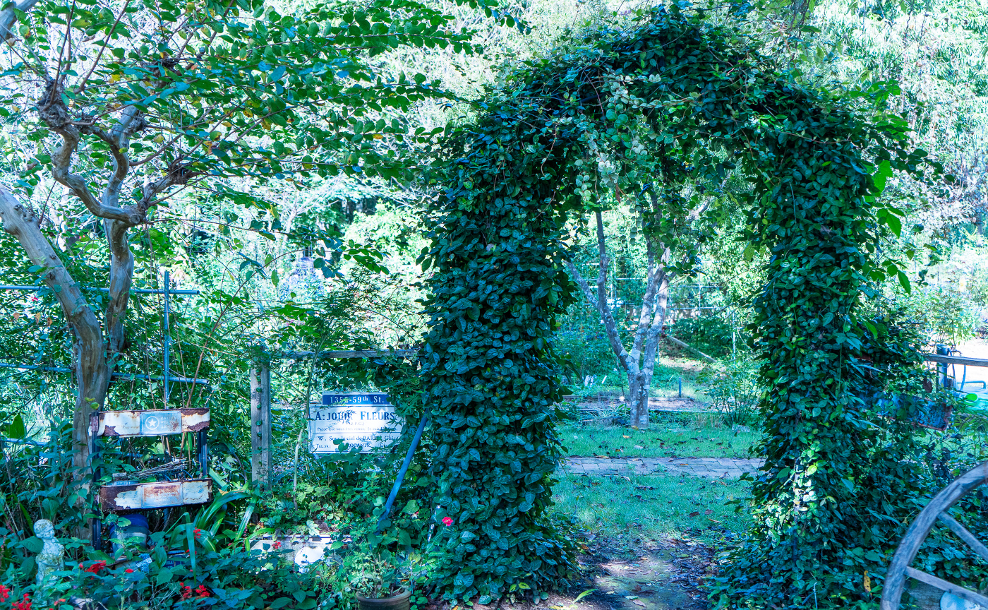 【レポート】森の中のレストランへ