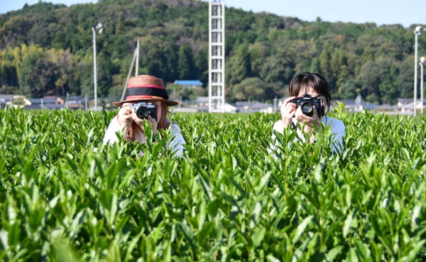 【開催レポ②】茶畑で撮影を楽しむ会📷️✨