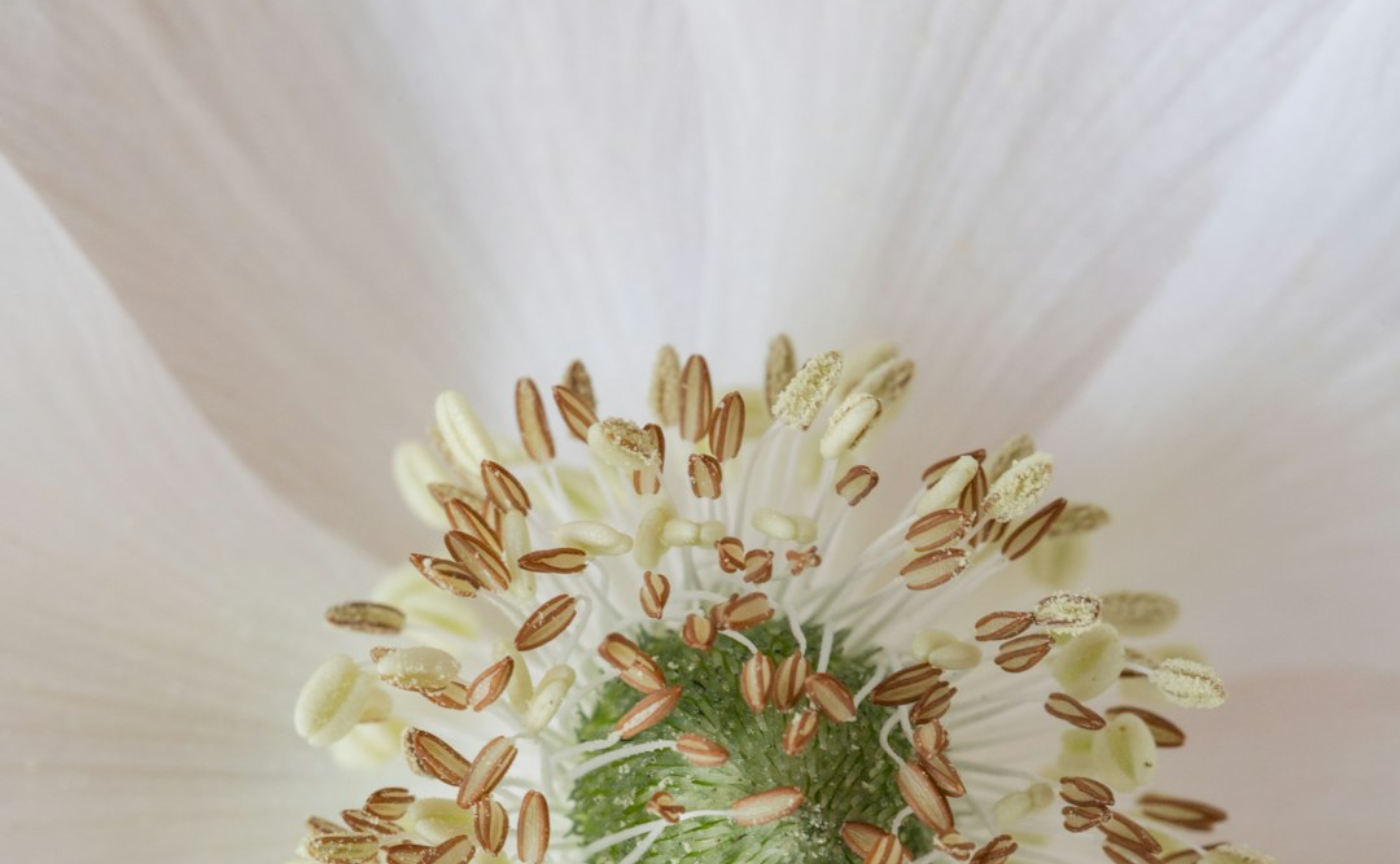 自分バージョンアッププログラム　part3 何にもないから何でもあるへ