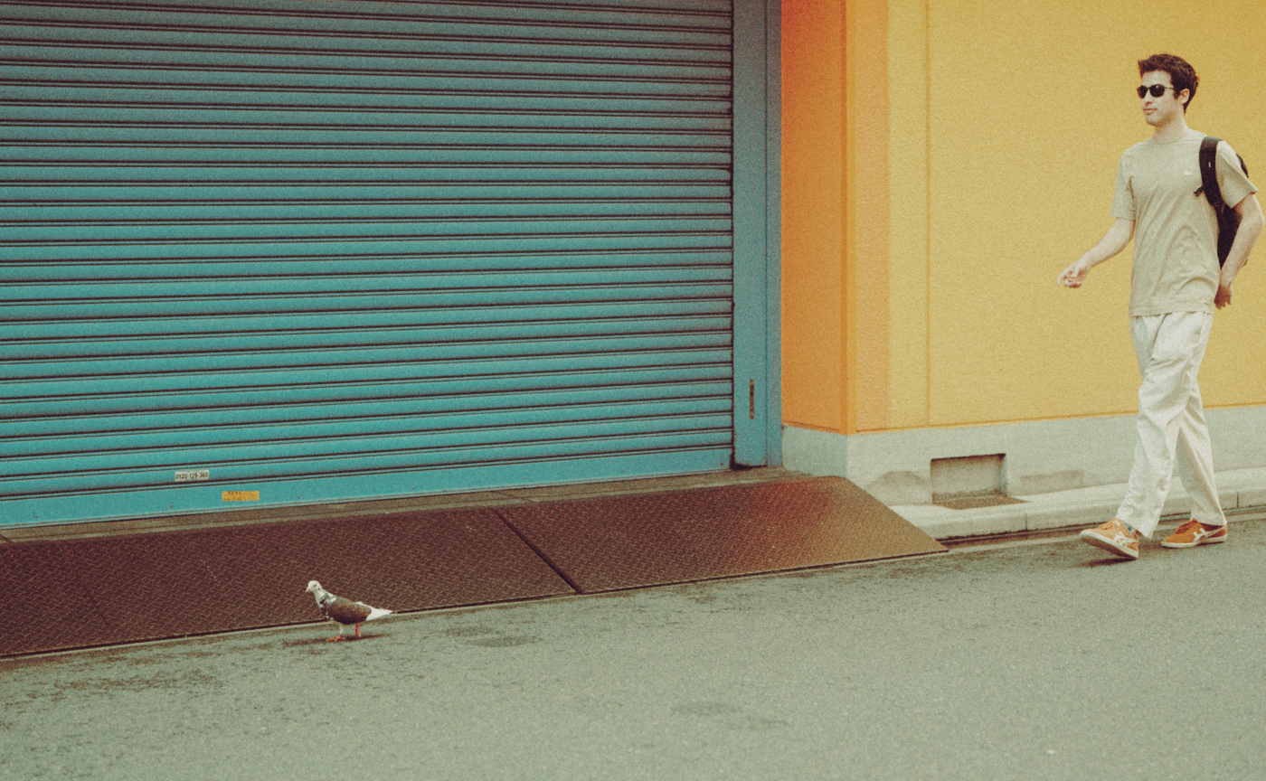 チーム野鳥会🐦‍⬛同じ被写体を一緒に撮って深掘りしてみよう！