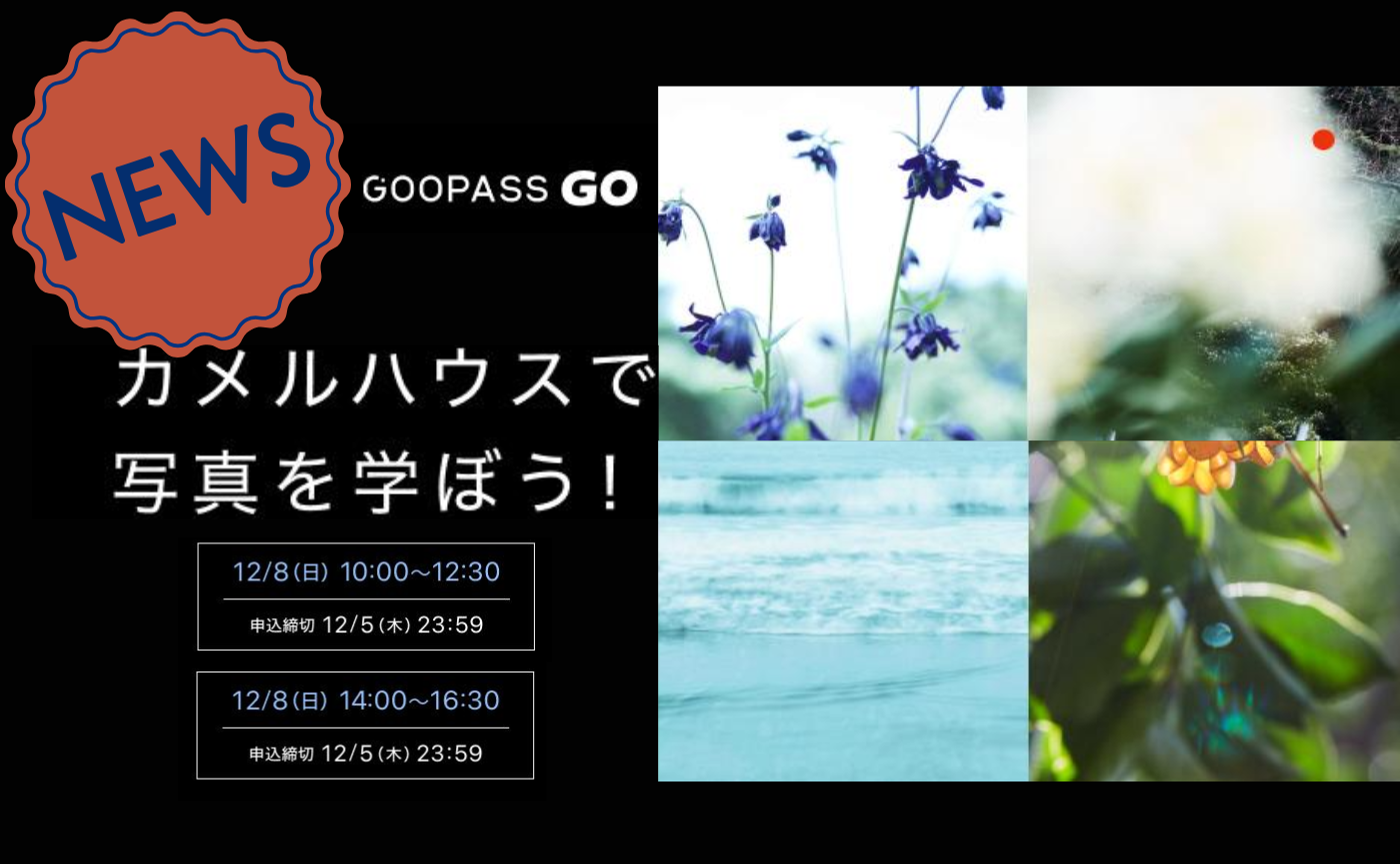 素敵なワークショップのお知らせ✨＞📢 【 GOOPASS GO 】 部屋をピンホールにする＆写真集の紹介＆表現の多様性について。
