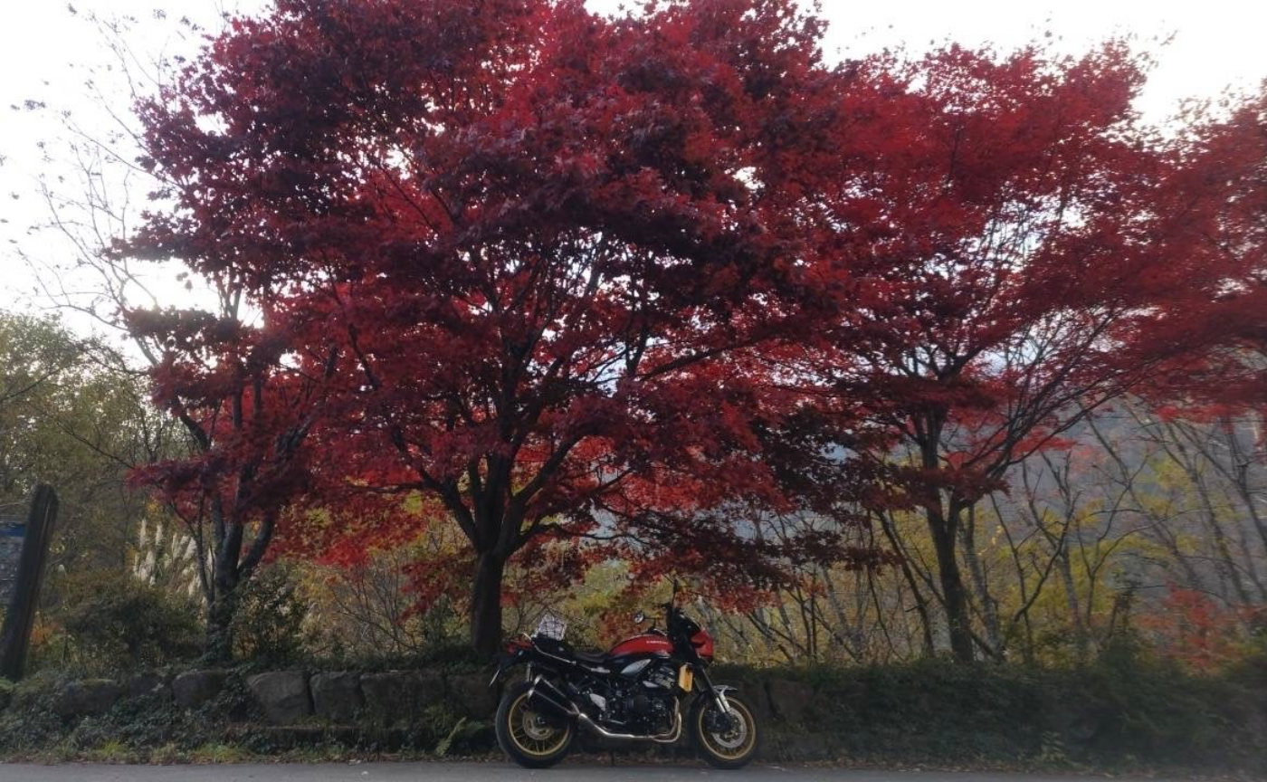 裏切り者現る😎