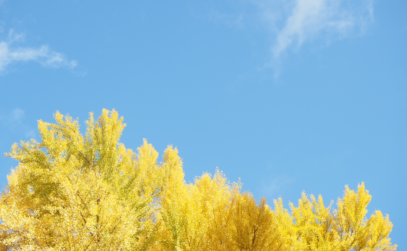 乗りつぶしの旅　~会津編②~