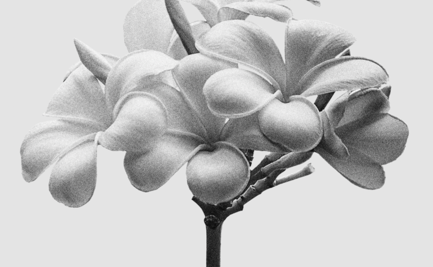 【第1期メンバーさんからのお声を集めてみました♡】