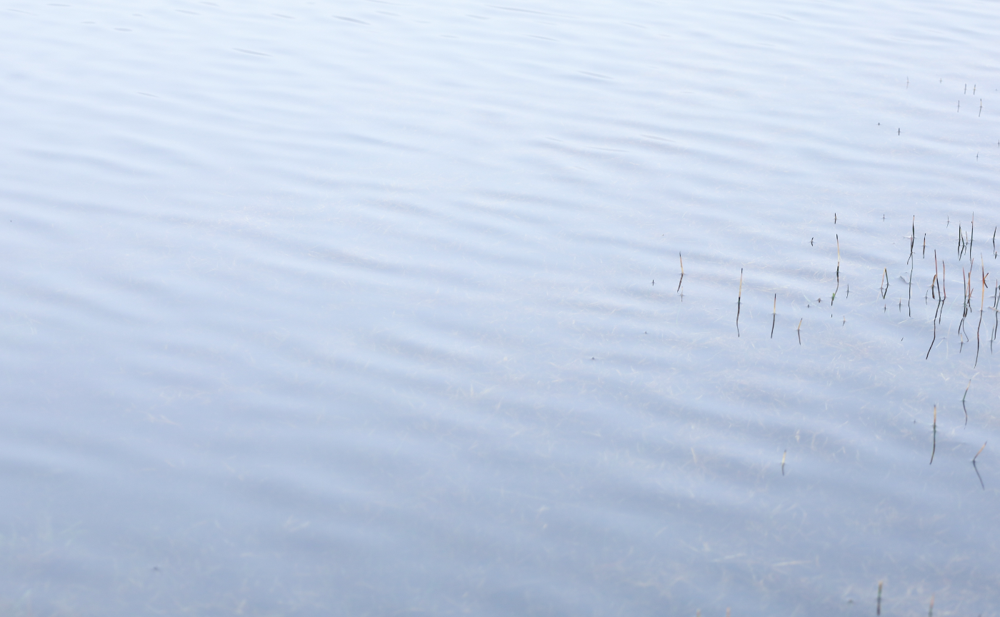 2024年、私の写真