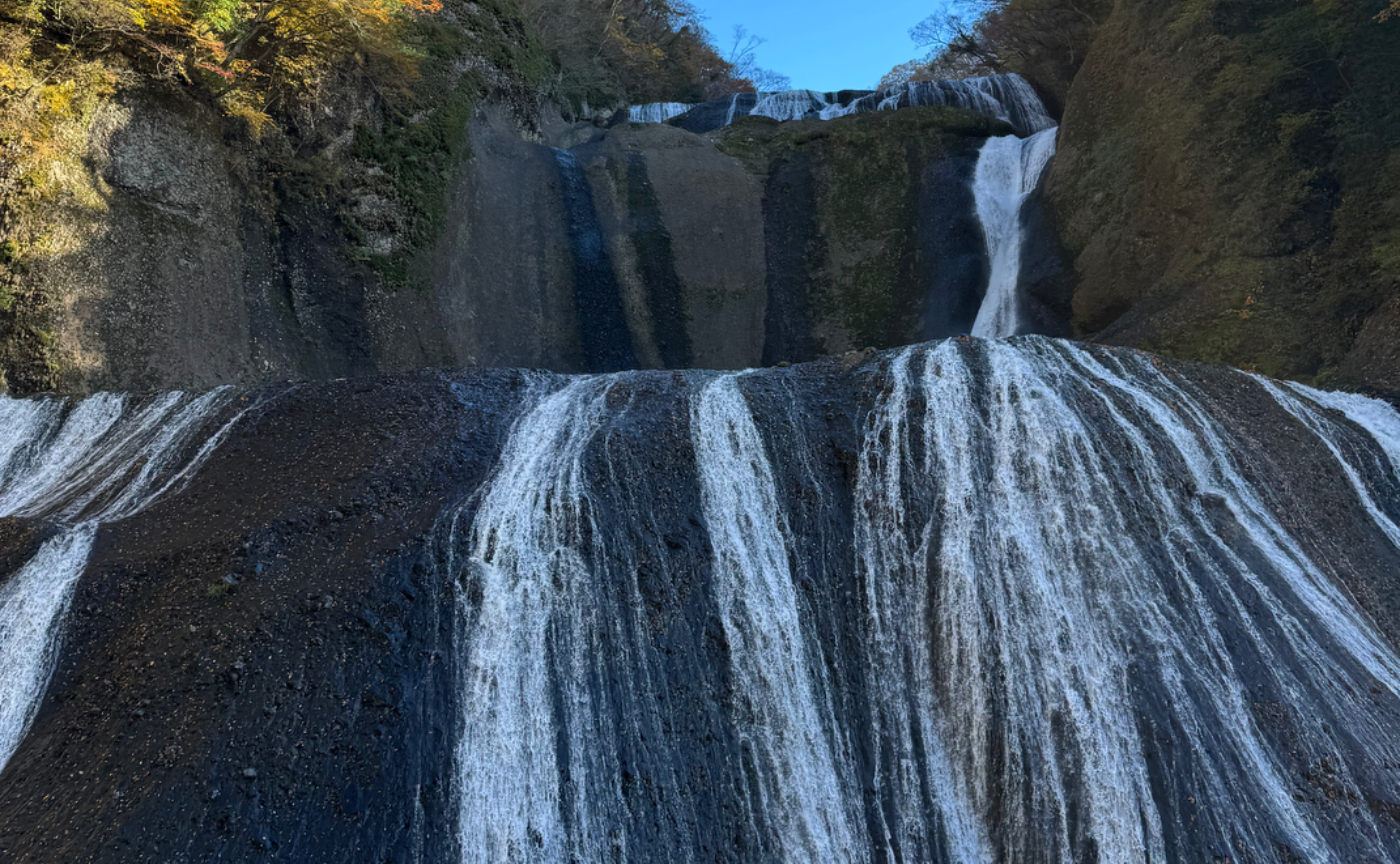 ゴルフウィドゥの休日