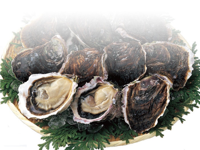 オンライン集落支援員の日常（岩牡蠣編）