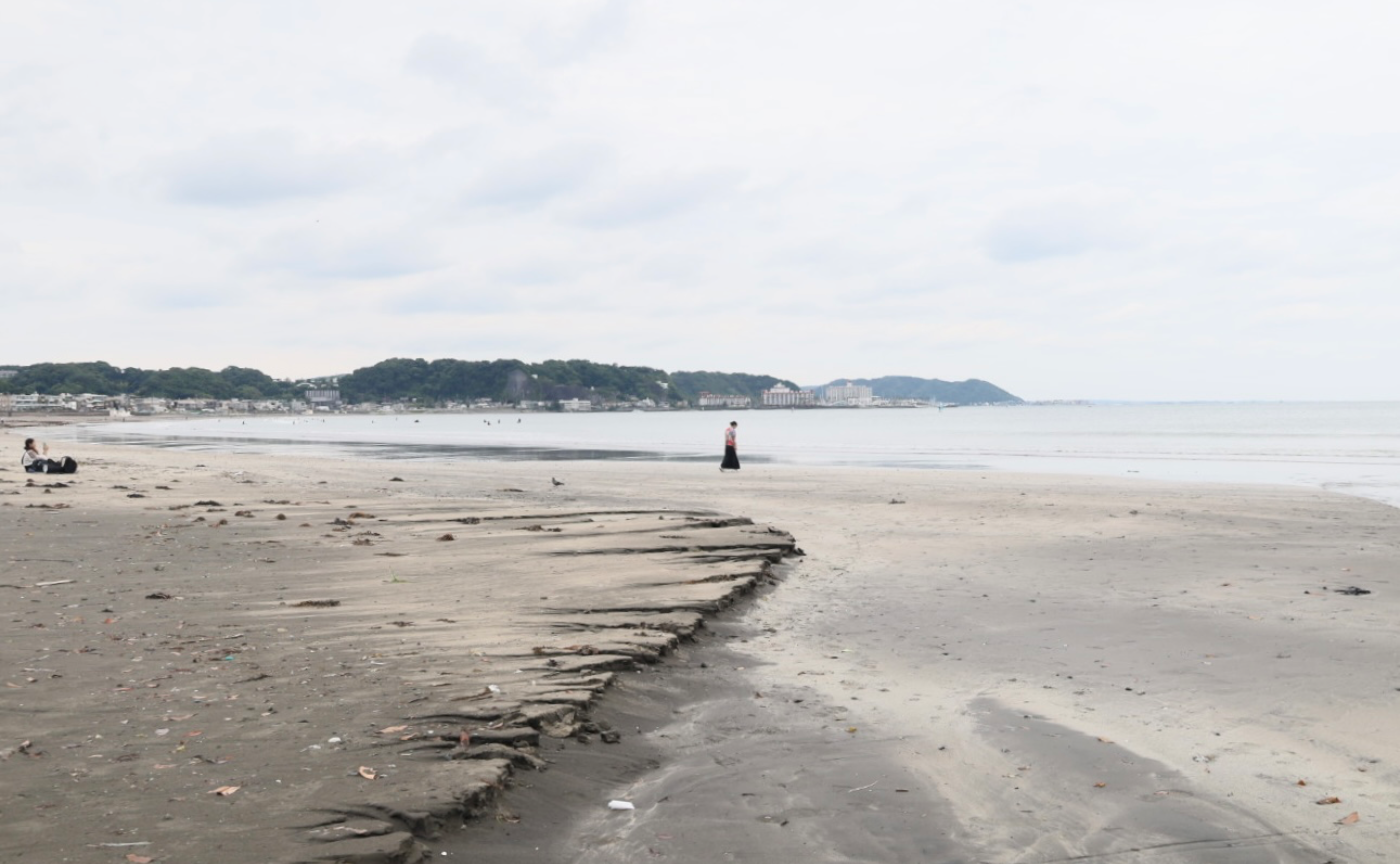 2024 私と写真の1年