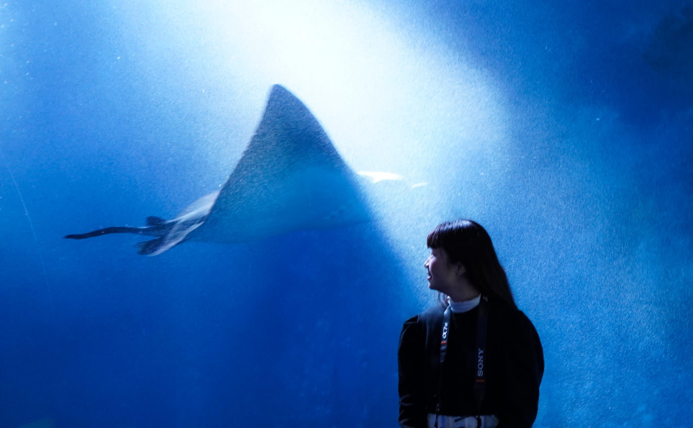 水族館ポートレート🐬