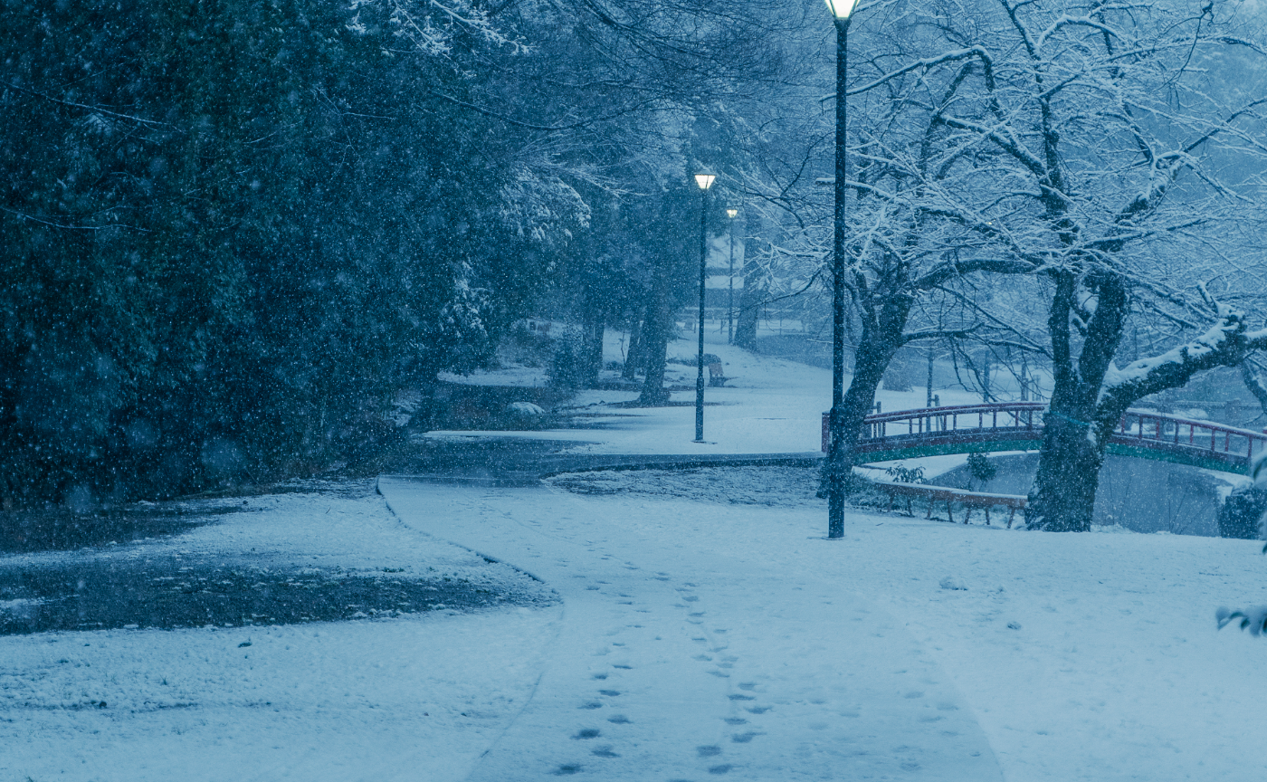 【動画】SakurakoさんによるオンラインInstagram講座