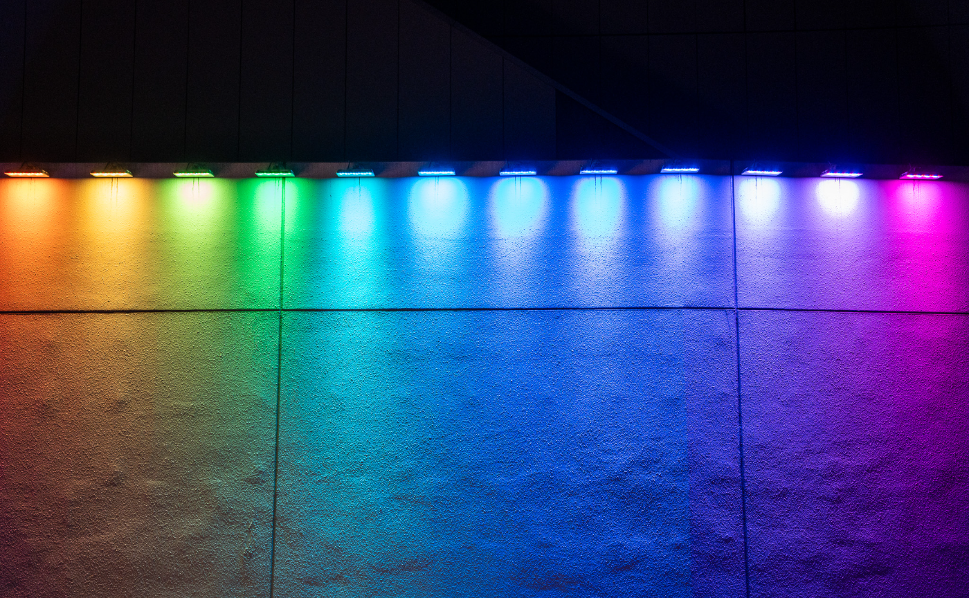 「私と写真の1年間」わくわくすることをたくさんしよう！