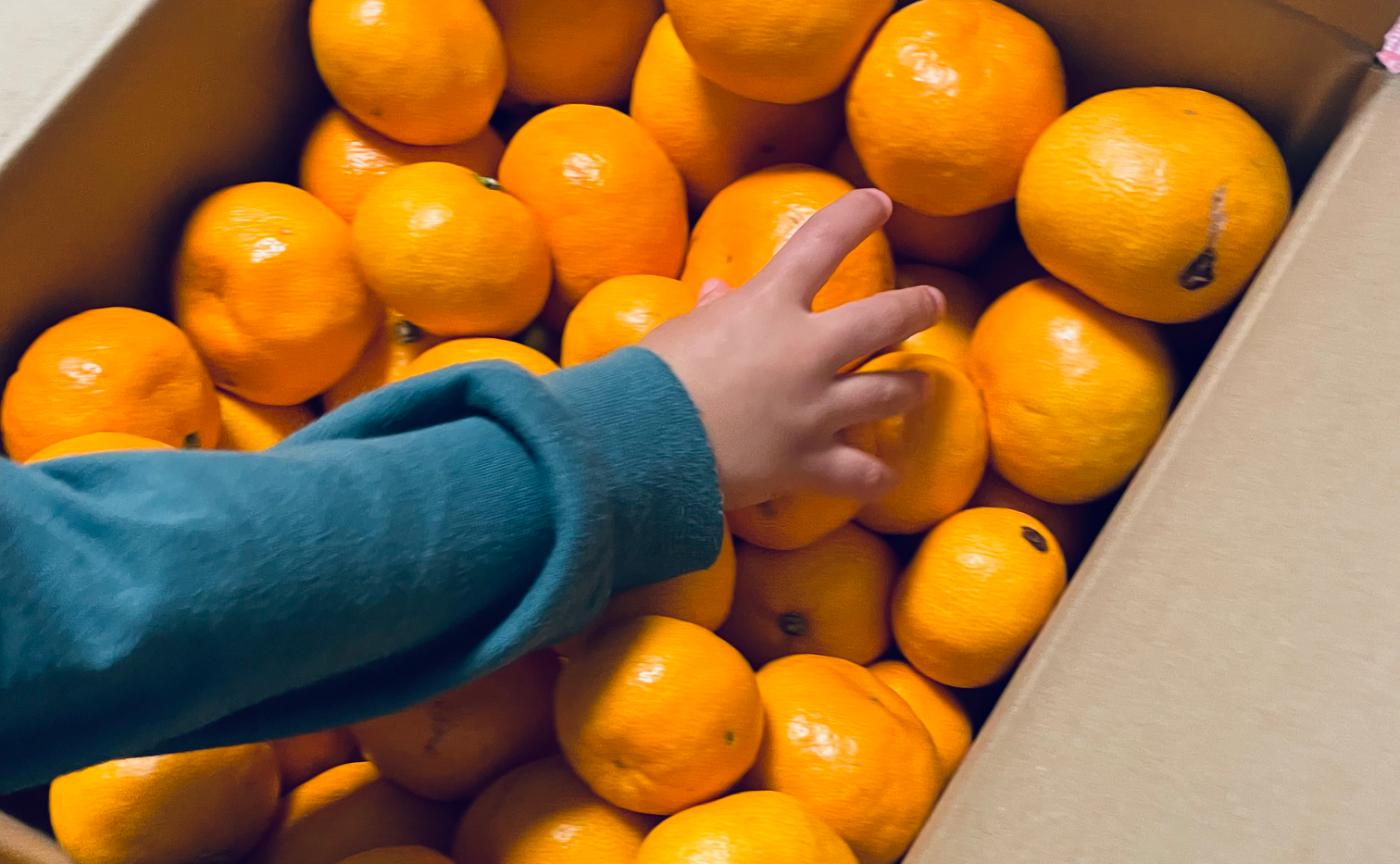 この地域で、やりたいことぜんぶ。