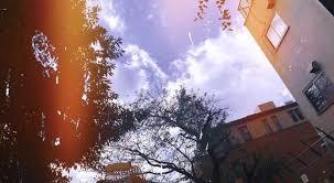 諦める数だけ諦めれないことが浮かび上がる。