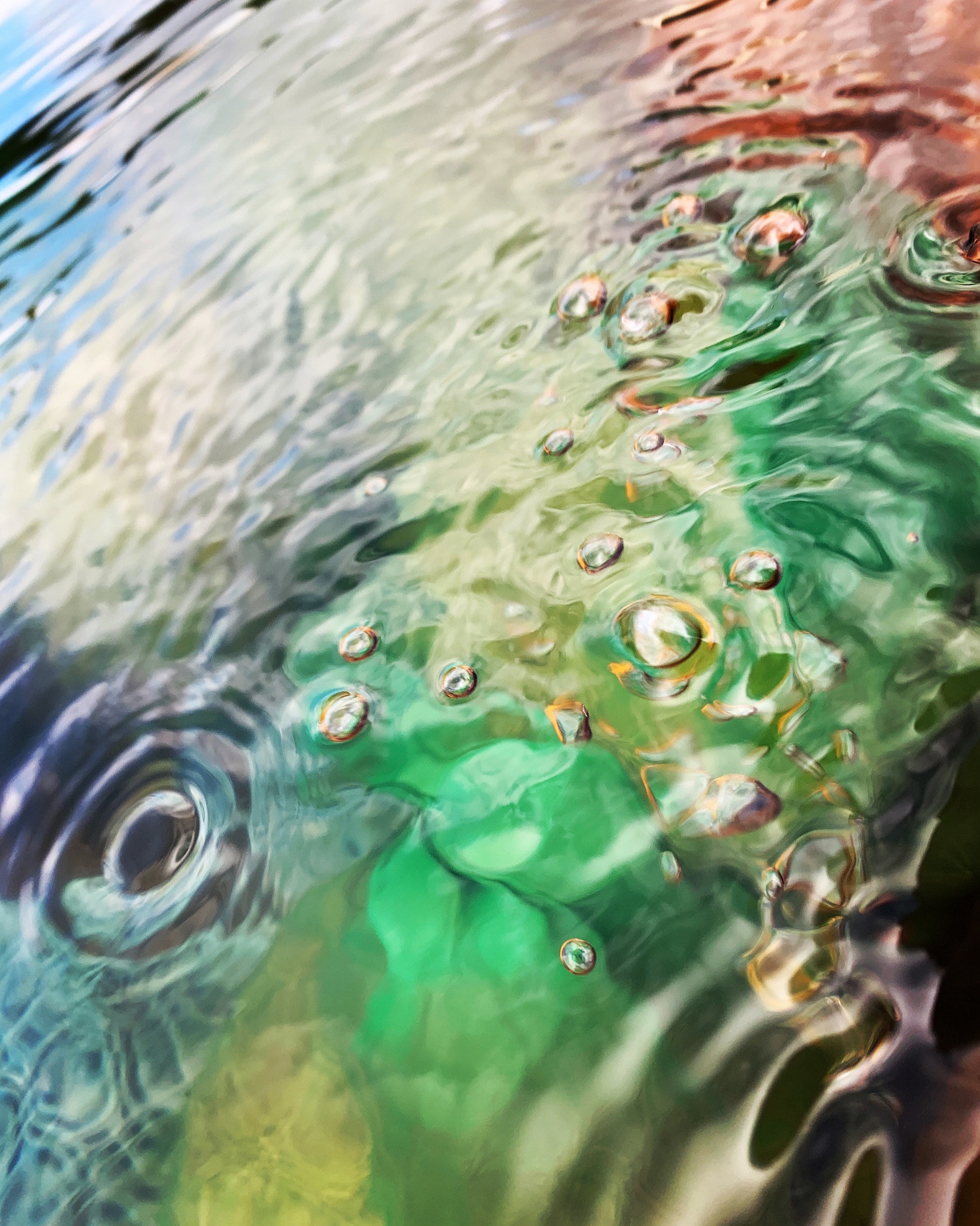 ダイバーシティ