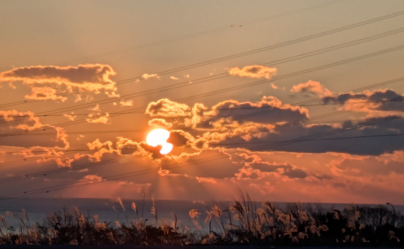 30 自然（日曜クイック振り返り会）