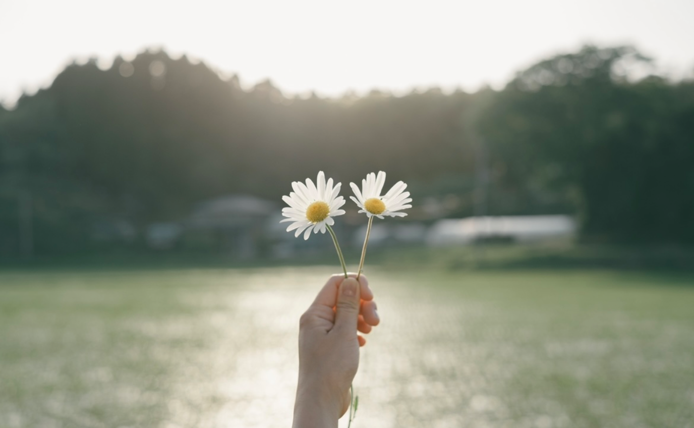 2024年【unclear】