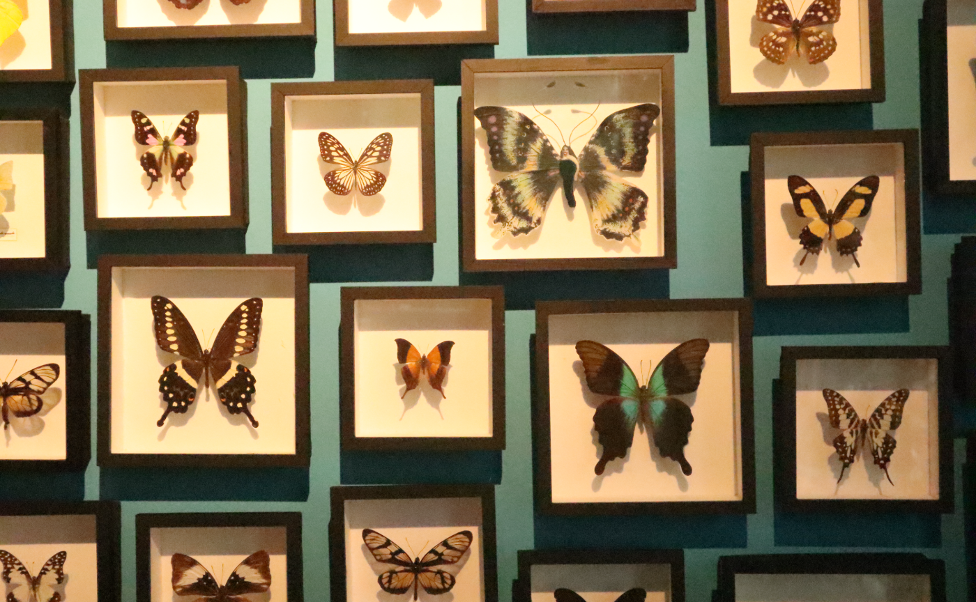 写真を纏める『小人の冒険』