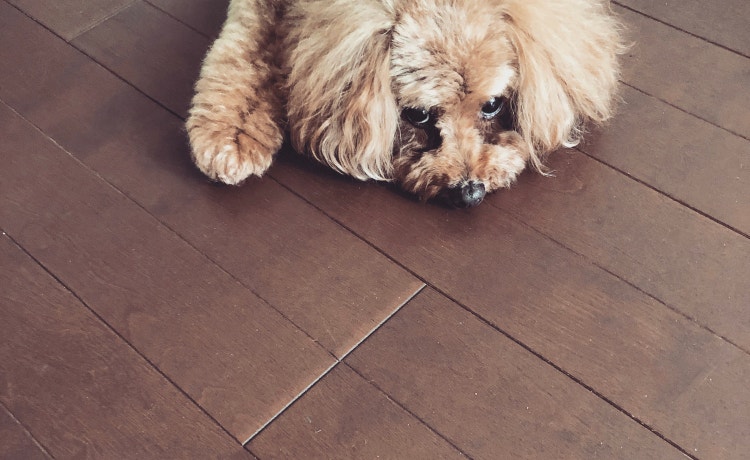 皆さんの質問にお答えします！私の20年間ヒストリー。　