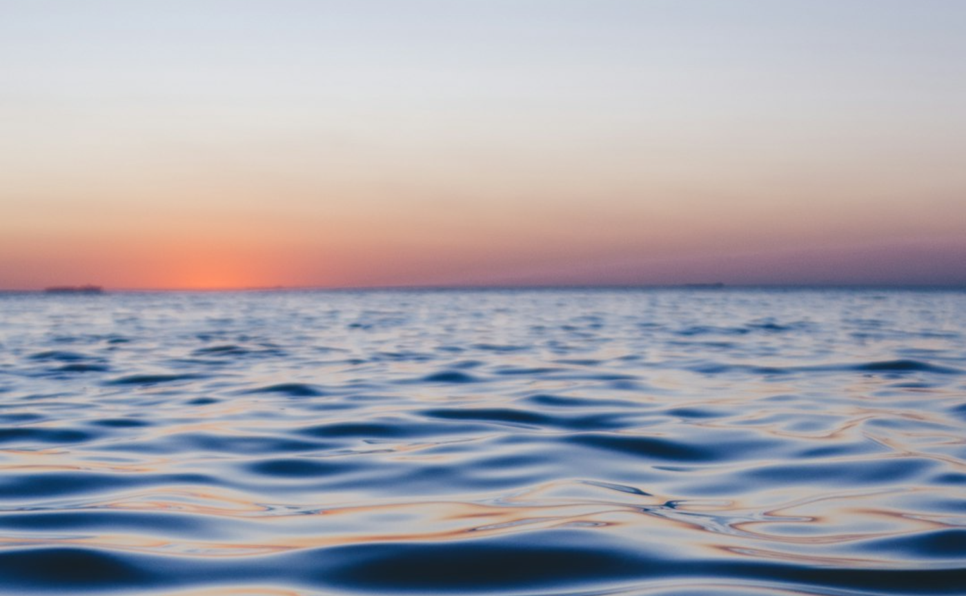 【2/2(日)締切！2期生メンバー募集！】THE BLUE COMMUNITYの活動とは？振り返りブログ