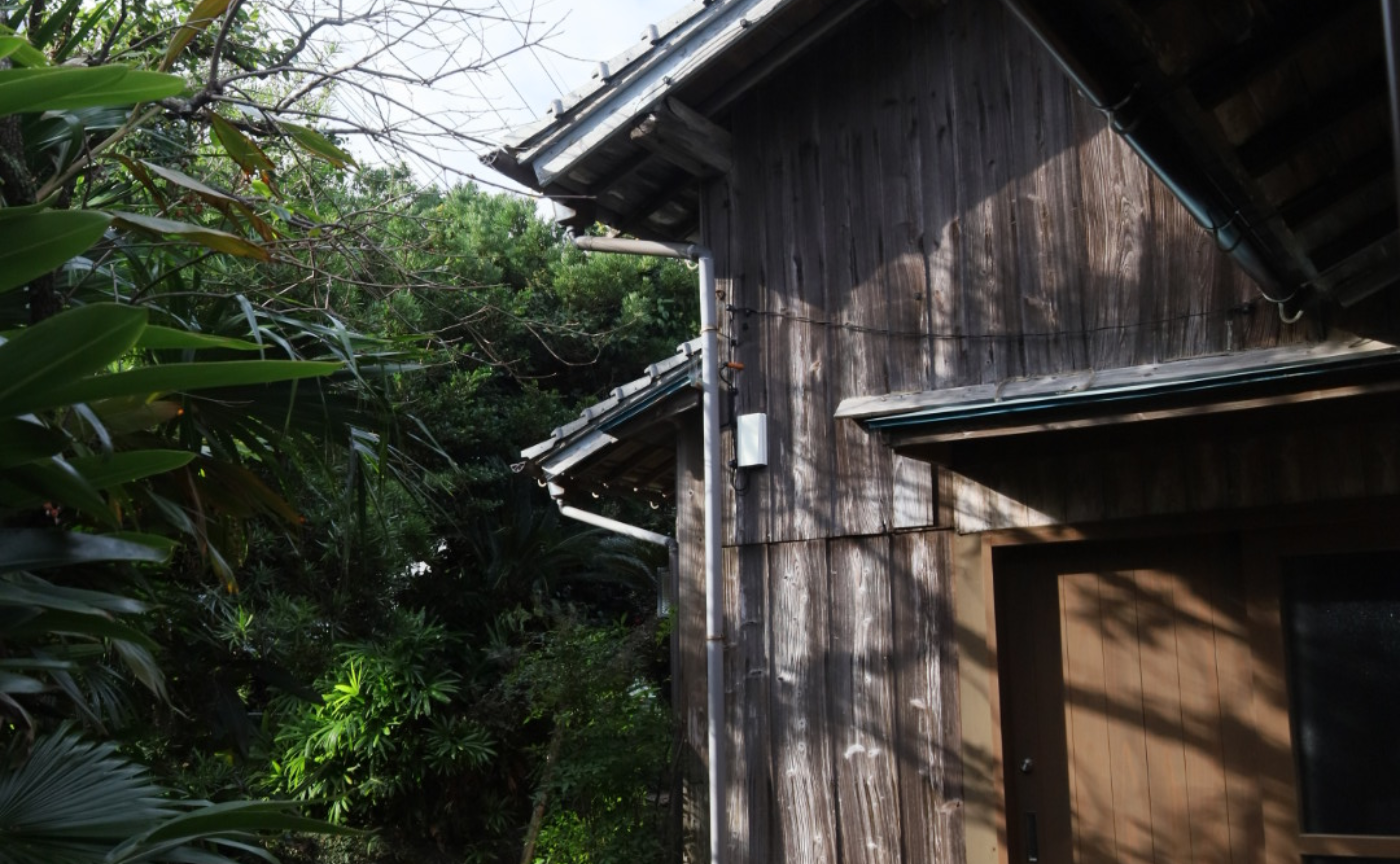 種子島の写真合宿　4