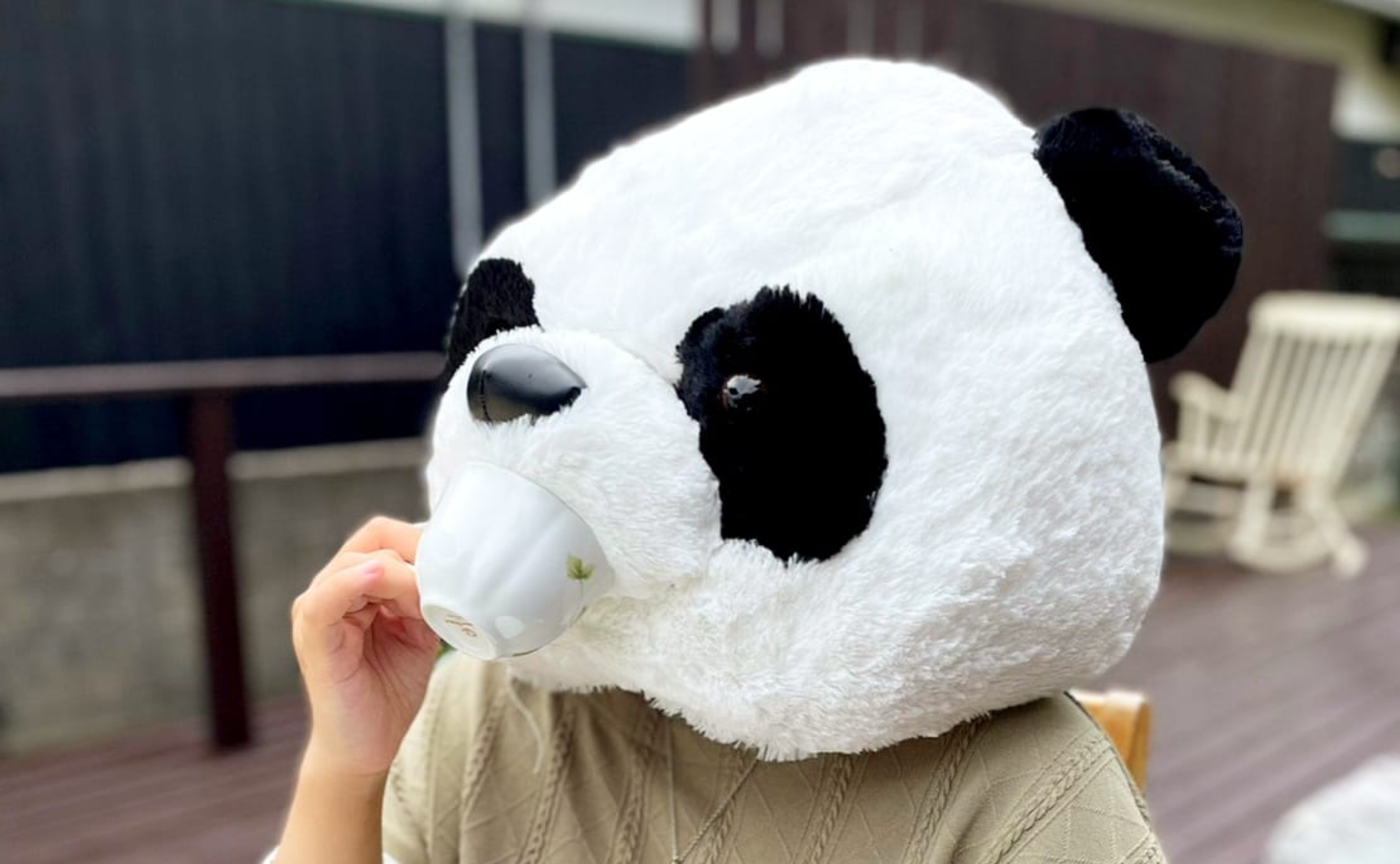 【パンダの被り物】