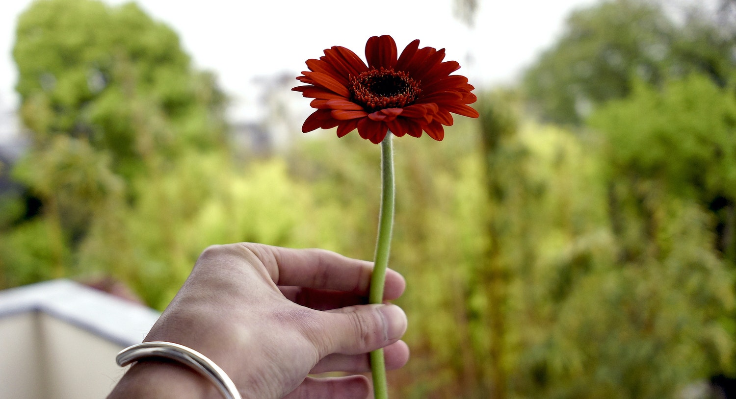今もっとも大切にすべきは、「心を素直に開くこと」だ。