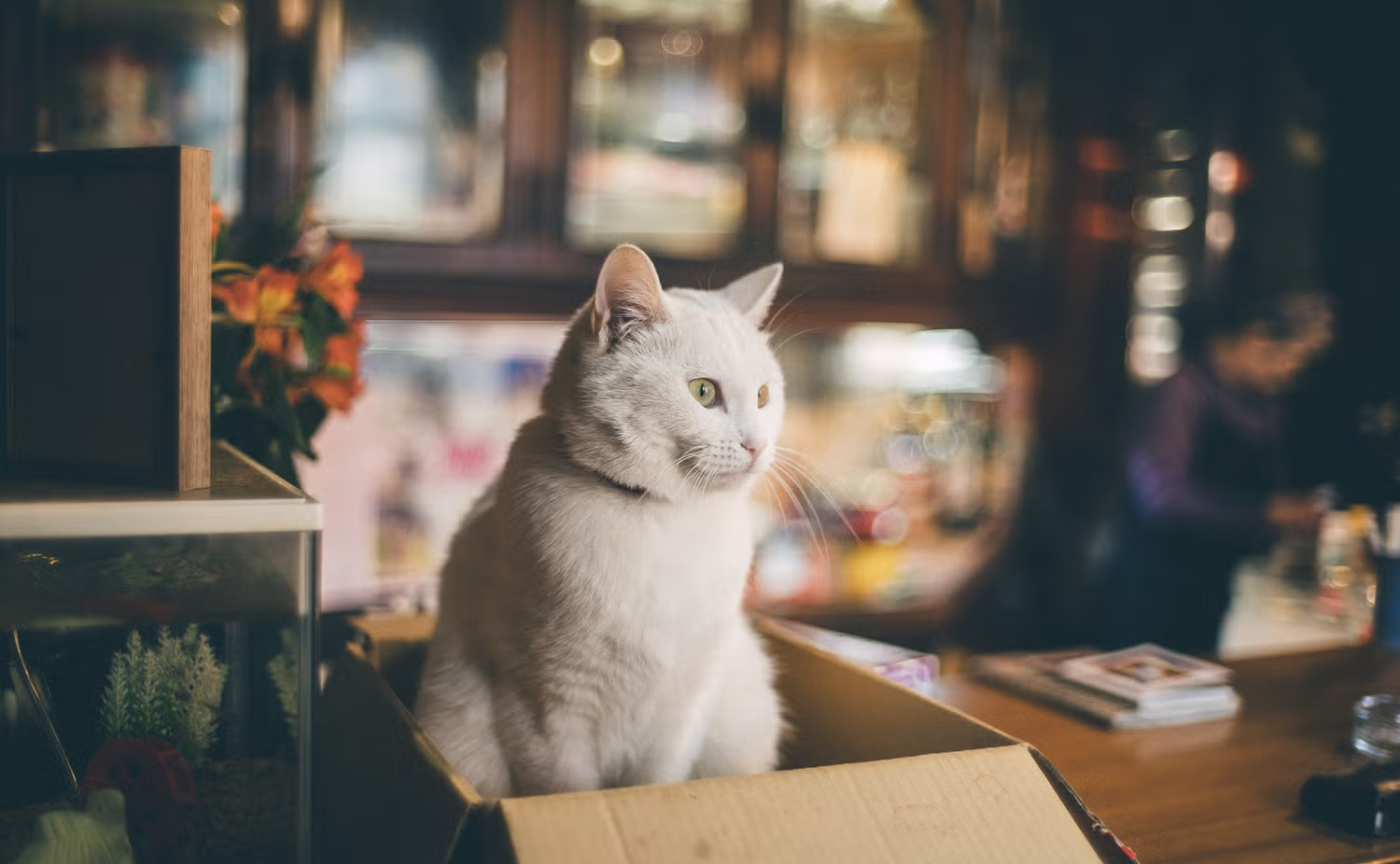 シャドウを効果的に使い、光をさらに印象的に魅せるフォトグラファー・ 丹子さんを招いた夜の写真トーク会!