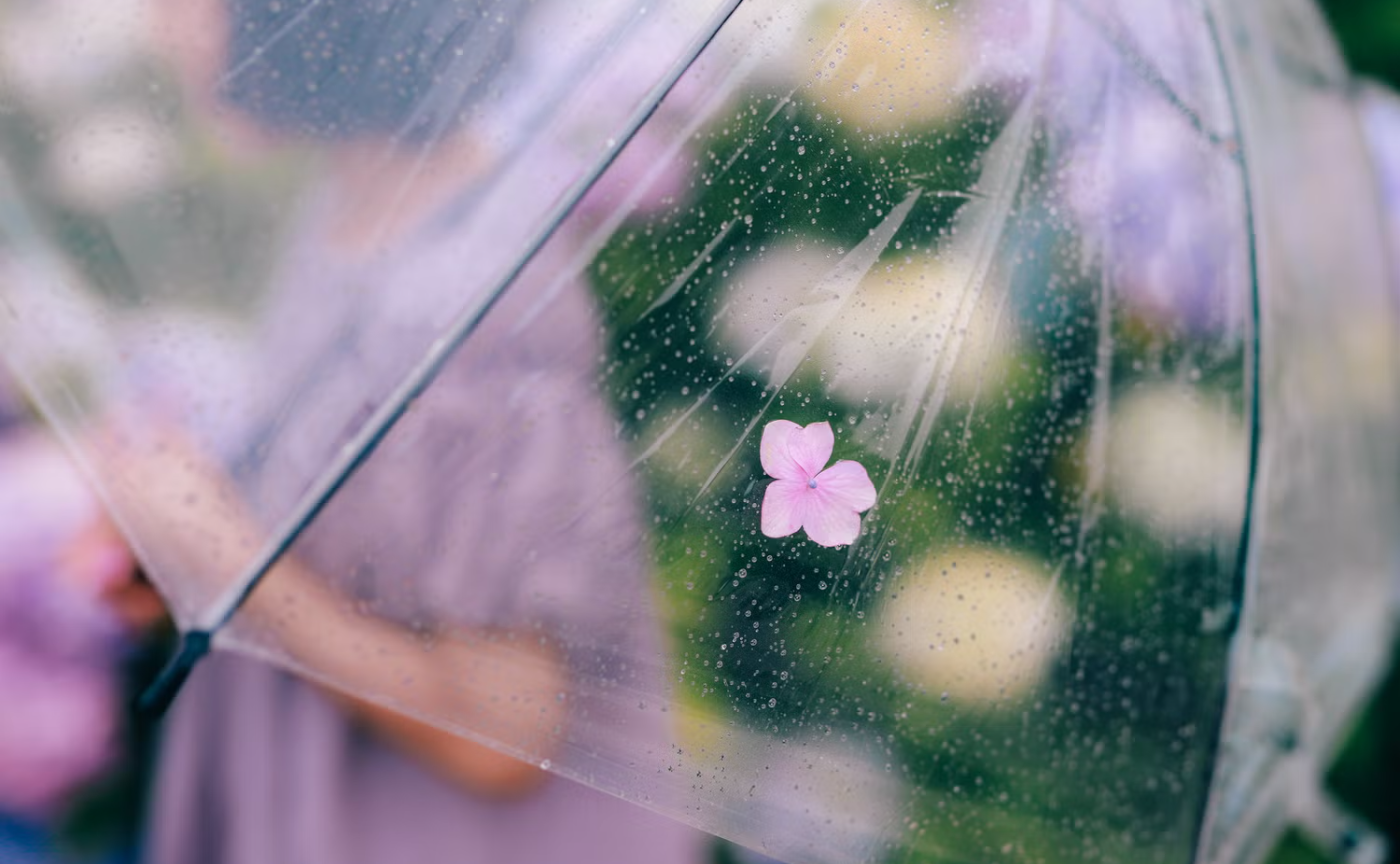 思わず ＼きゅん／ としちゃう、光いっぱいの素敵な写真を撮るフォトグラファー・みささんを招いた夜の写真トーク会！