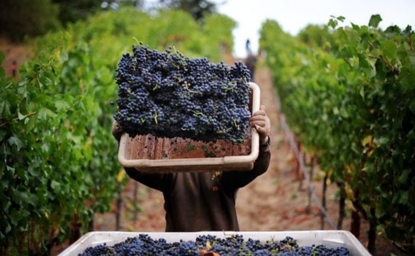 福岡店｜「生産者と味わう ～Au Bon Climat～」ワインの集い